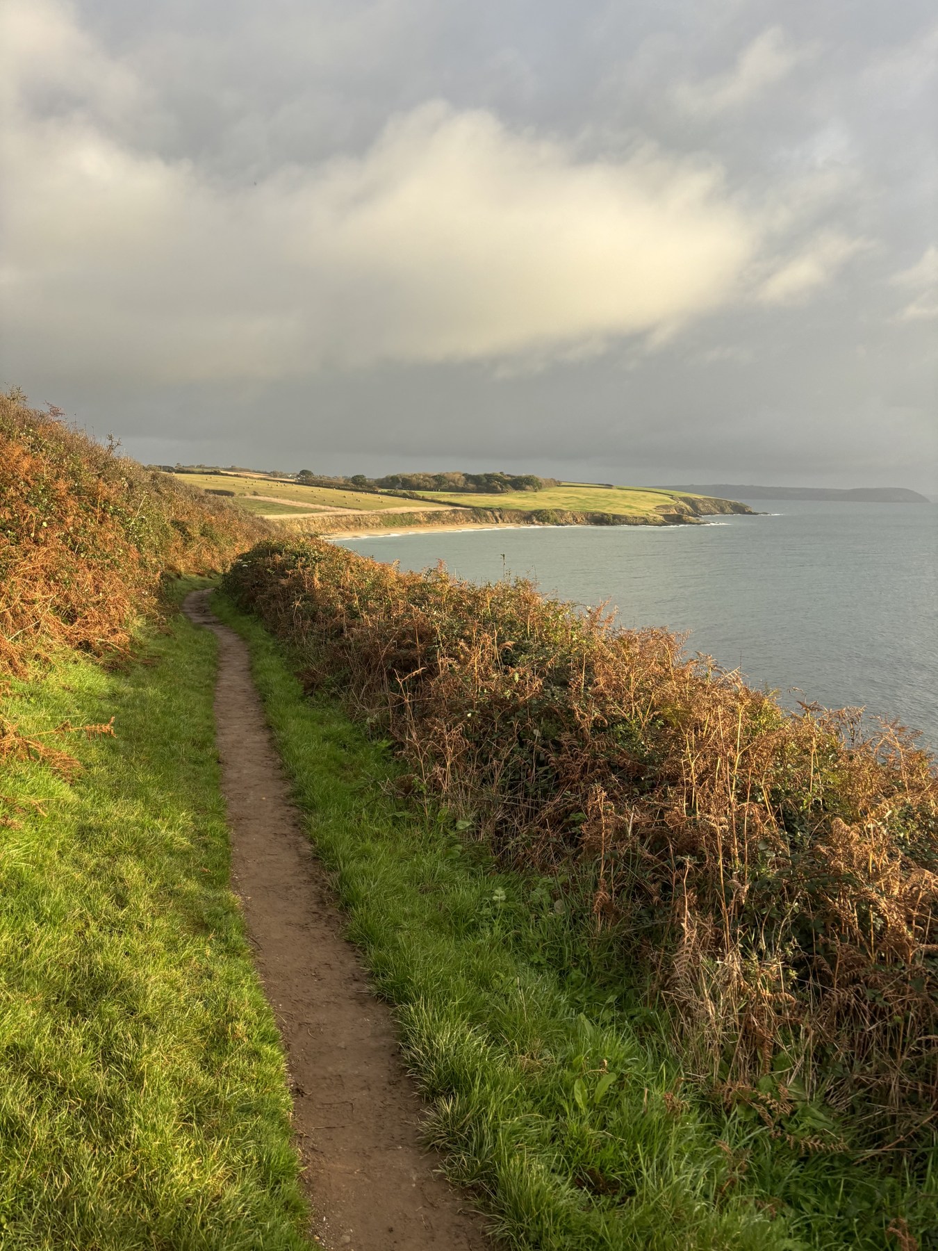 A narrow coastal path between green grass and golden hedgerows, with the sea alongside